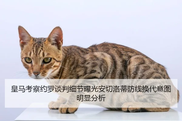 皇马考察约罗谈判细节曝光安切洛蒂防线换代意图明显分析