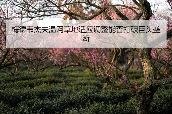梅德韦杰夫温网草地适应调整能否打破巨头垄断